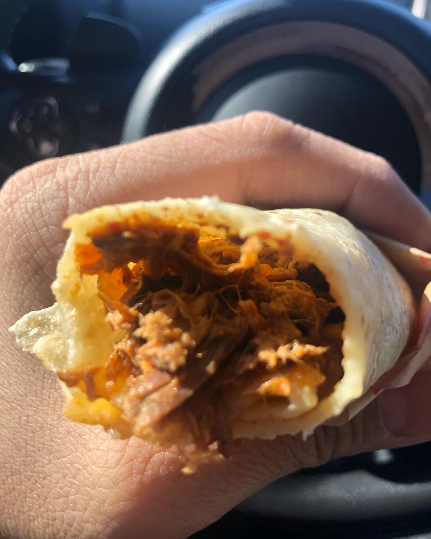 Birria Burritos from Burritos La Palma