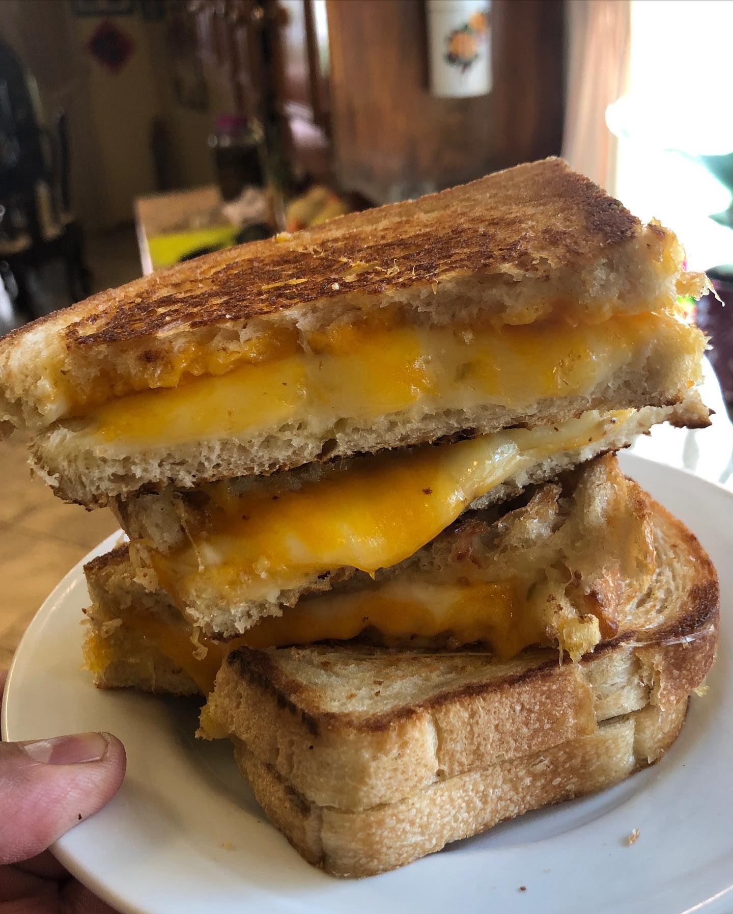 This is my Grilled Cheese Sandwich