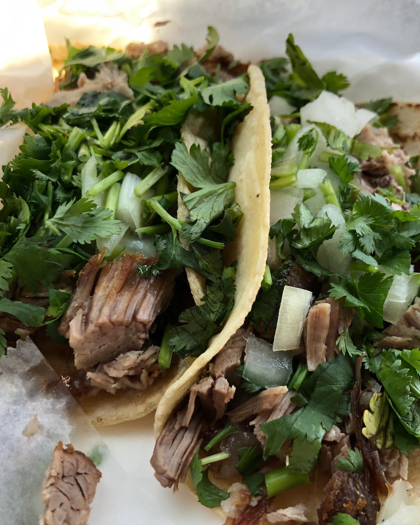 The Chronicles of Carnitas of East LA