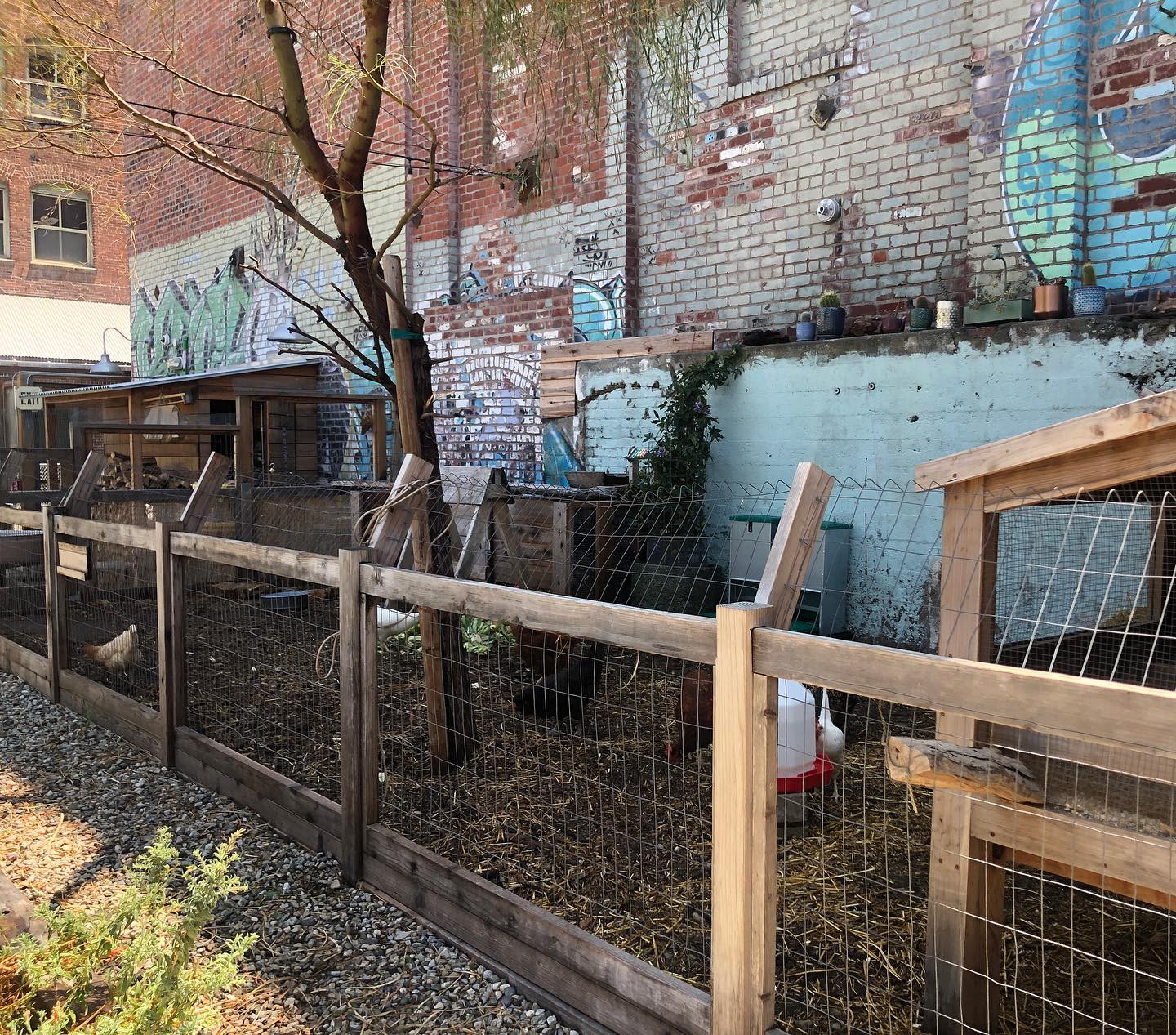 Lunch at Manuela in the arts district in DTLA