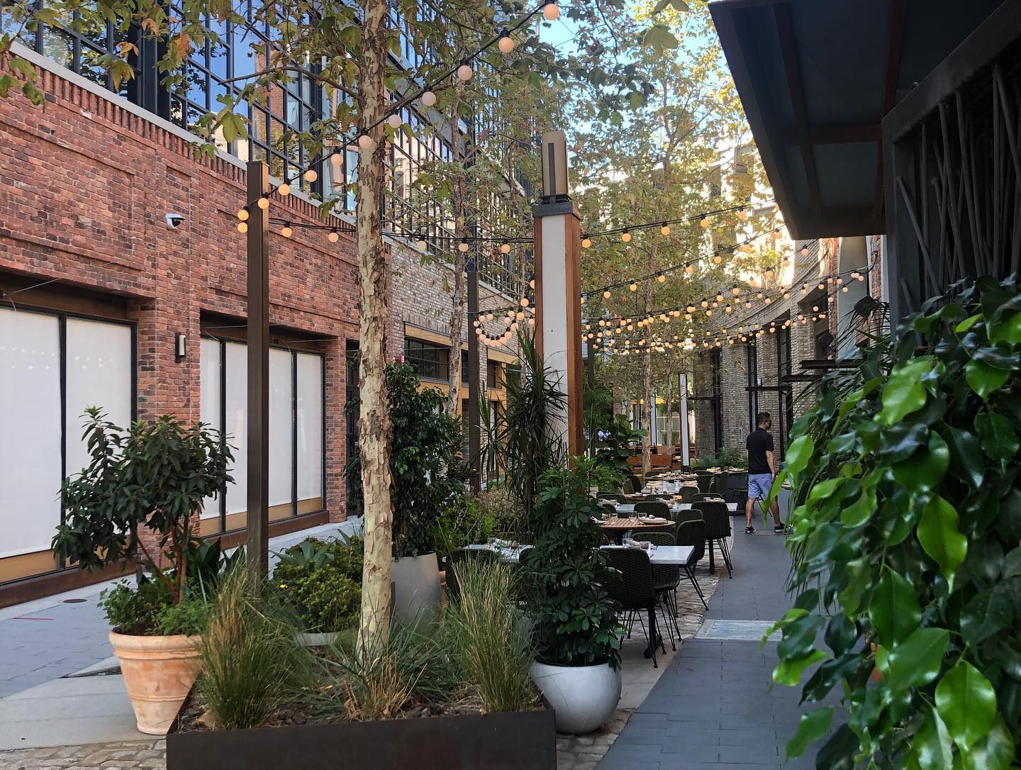 Bloody Mary at The Girl & the Goat