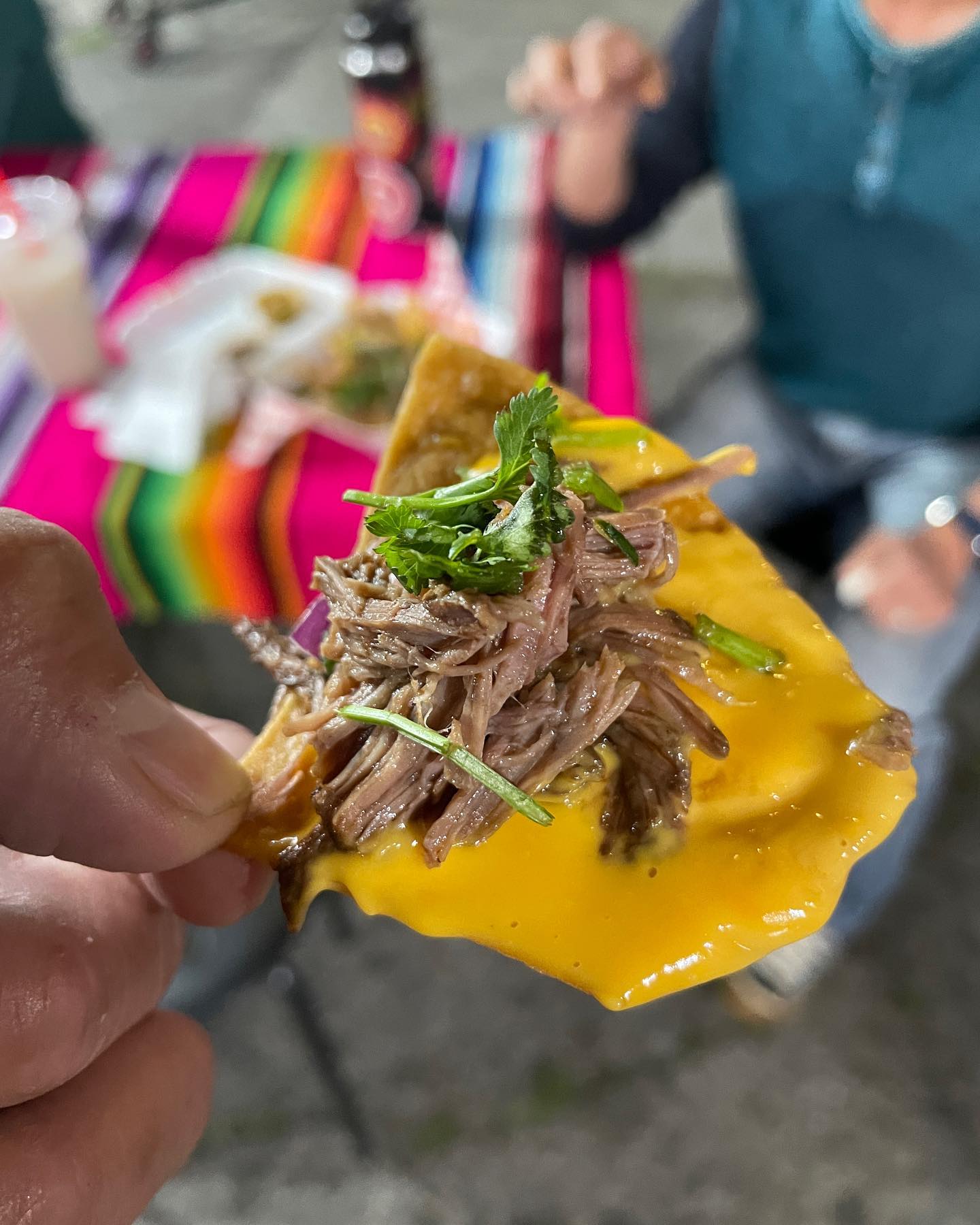 Birria Tacos, mulitas, and nachos