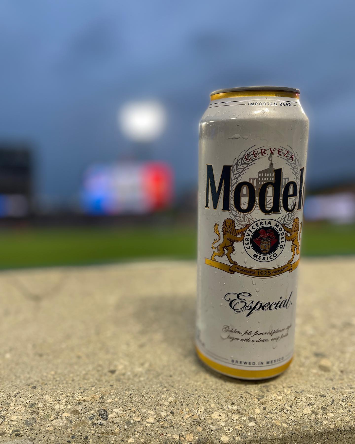 Enjoying a day at the park