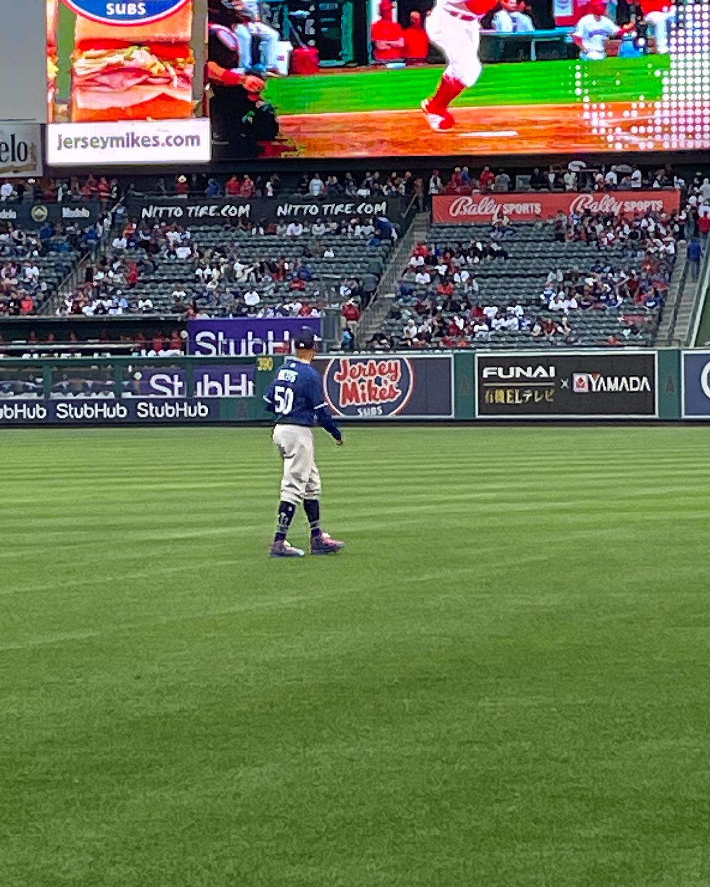 Enjoying a day at the park