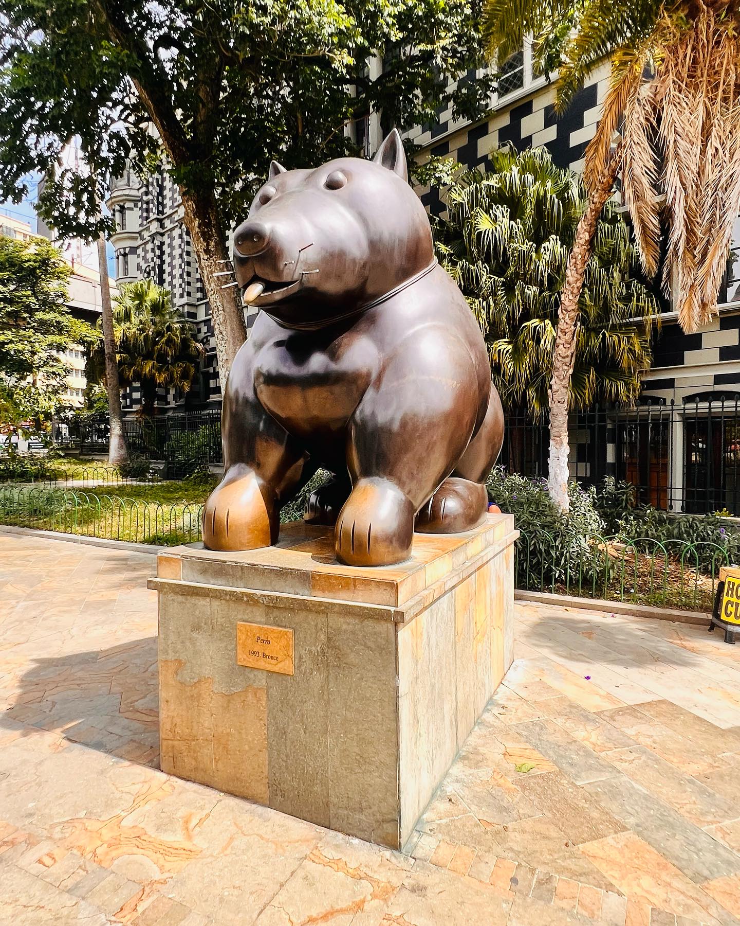 Images, memories, and good times in Medellin