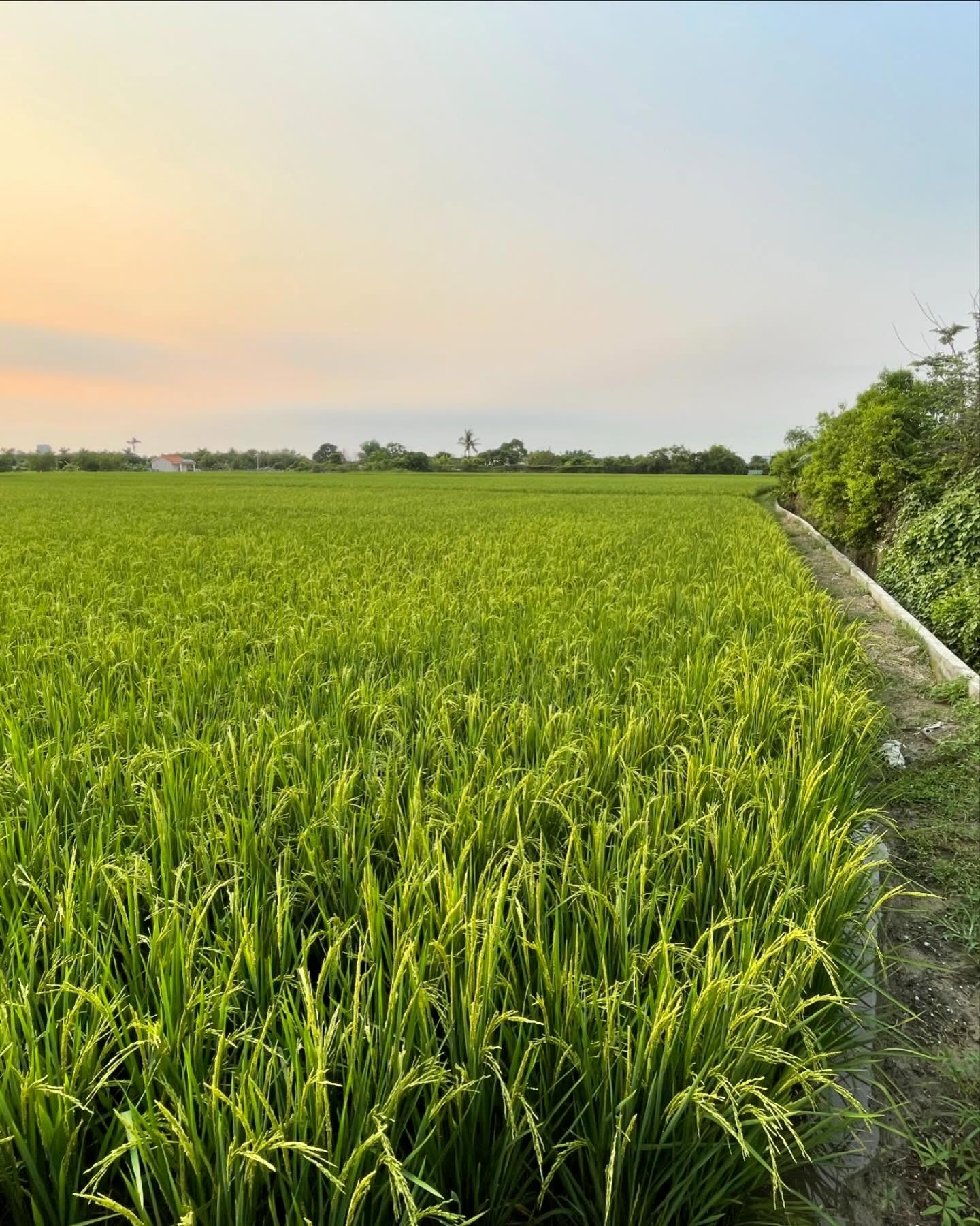 Random photos of my Taiwan trip