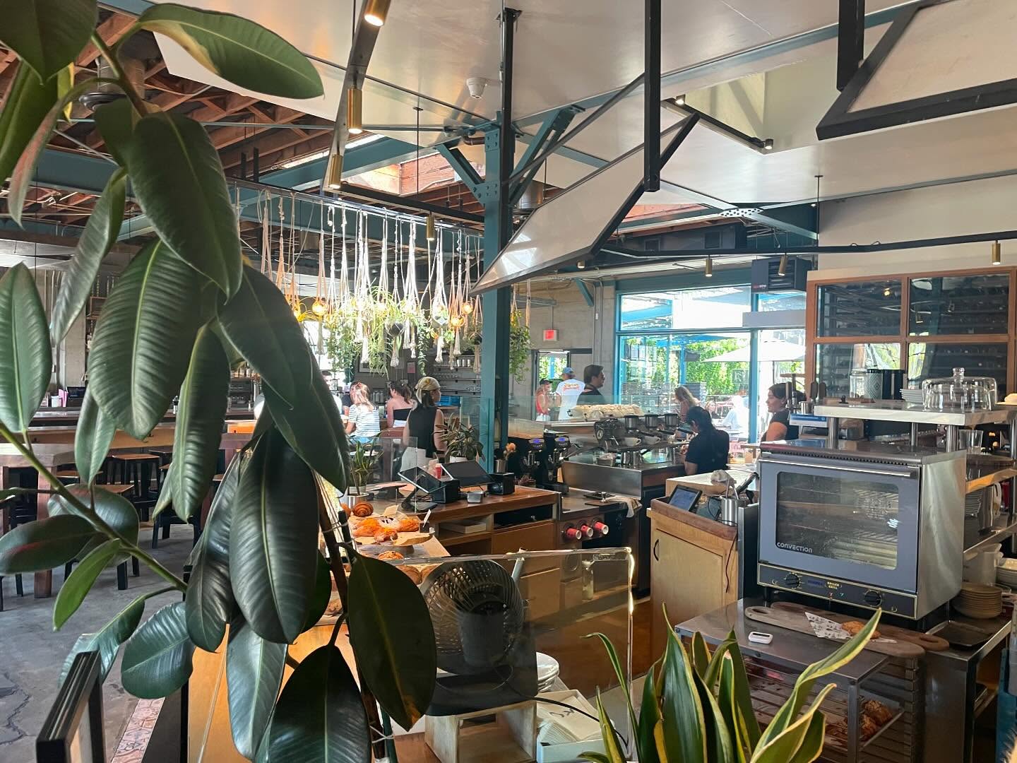 Brunch at the Rose in Venice