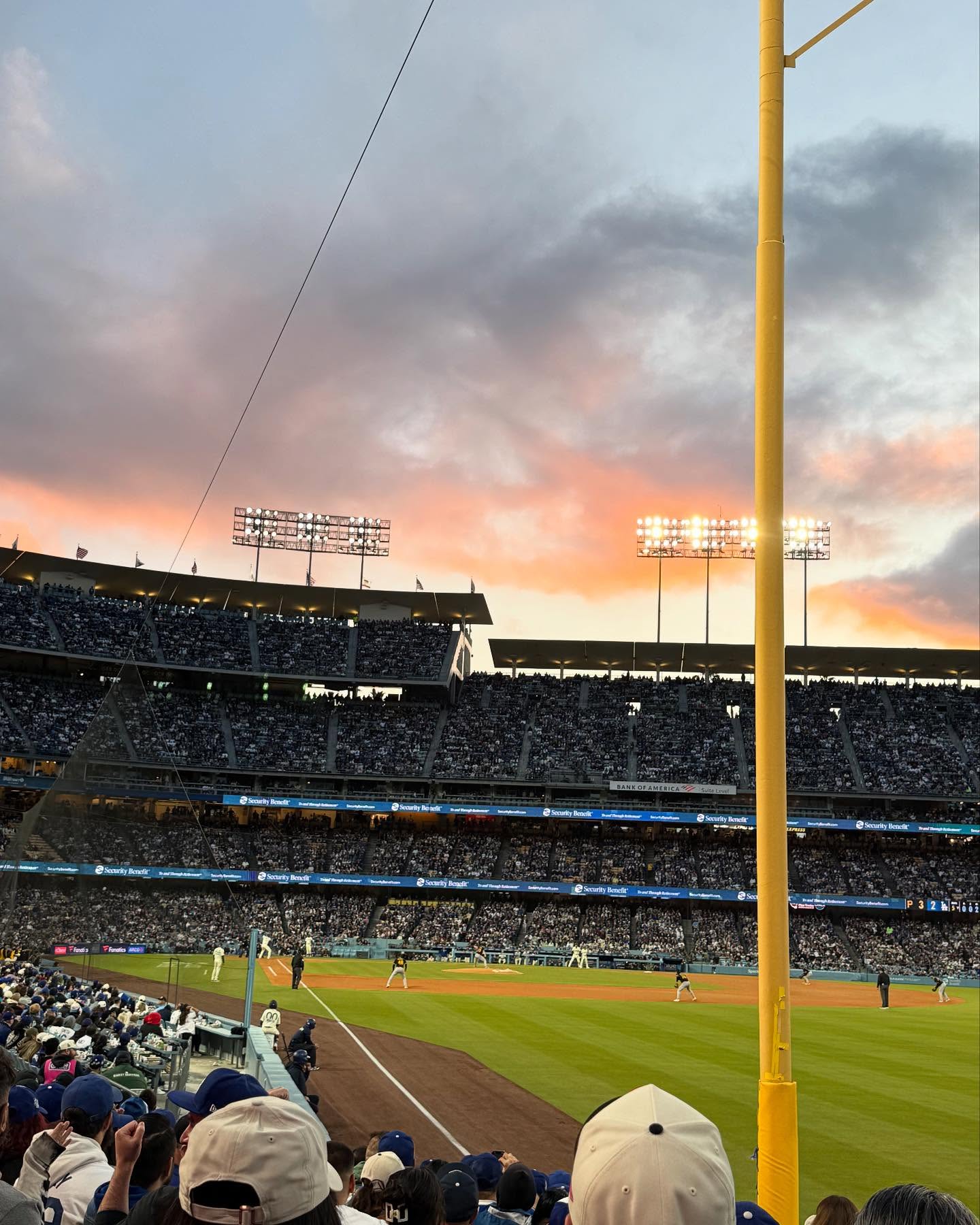Enjoying a Dodger Dog at the game