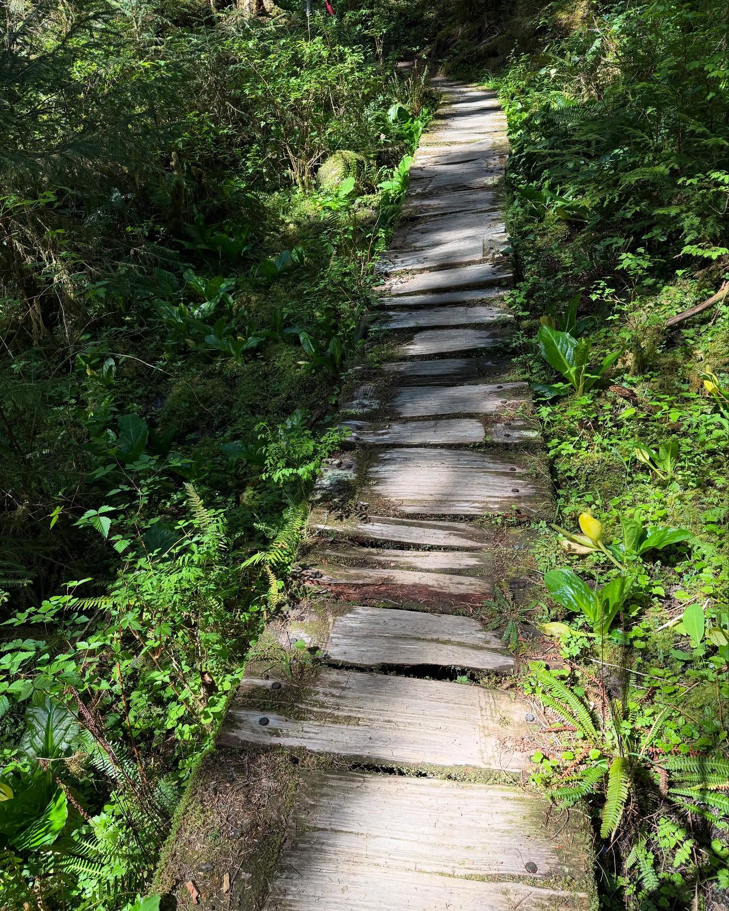 Some pics from my camping at Olympic National Park