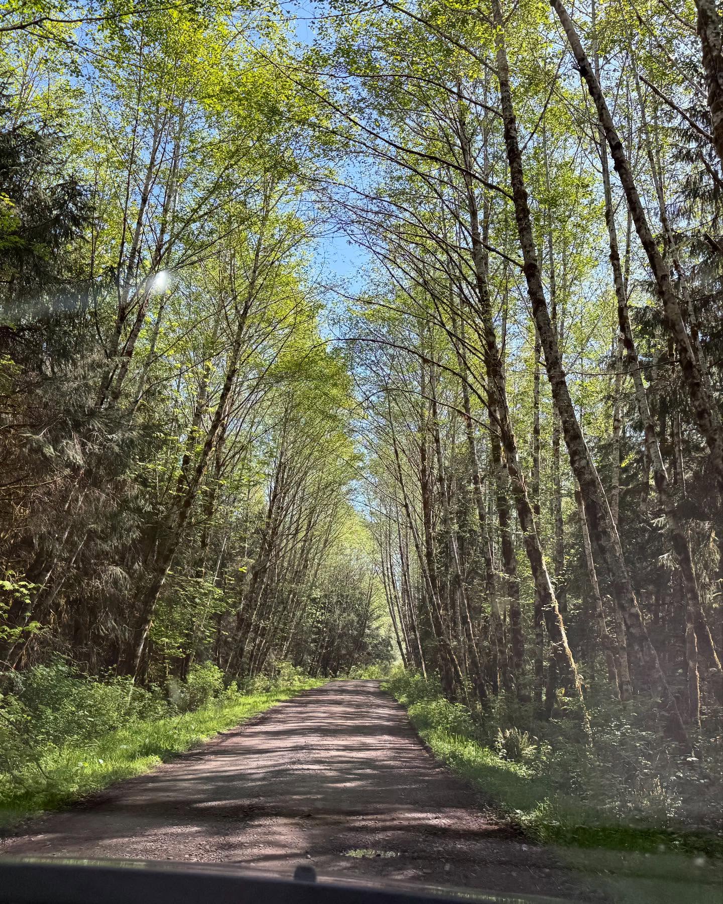 Some pics from my camping at Olympic National Park