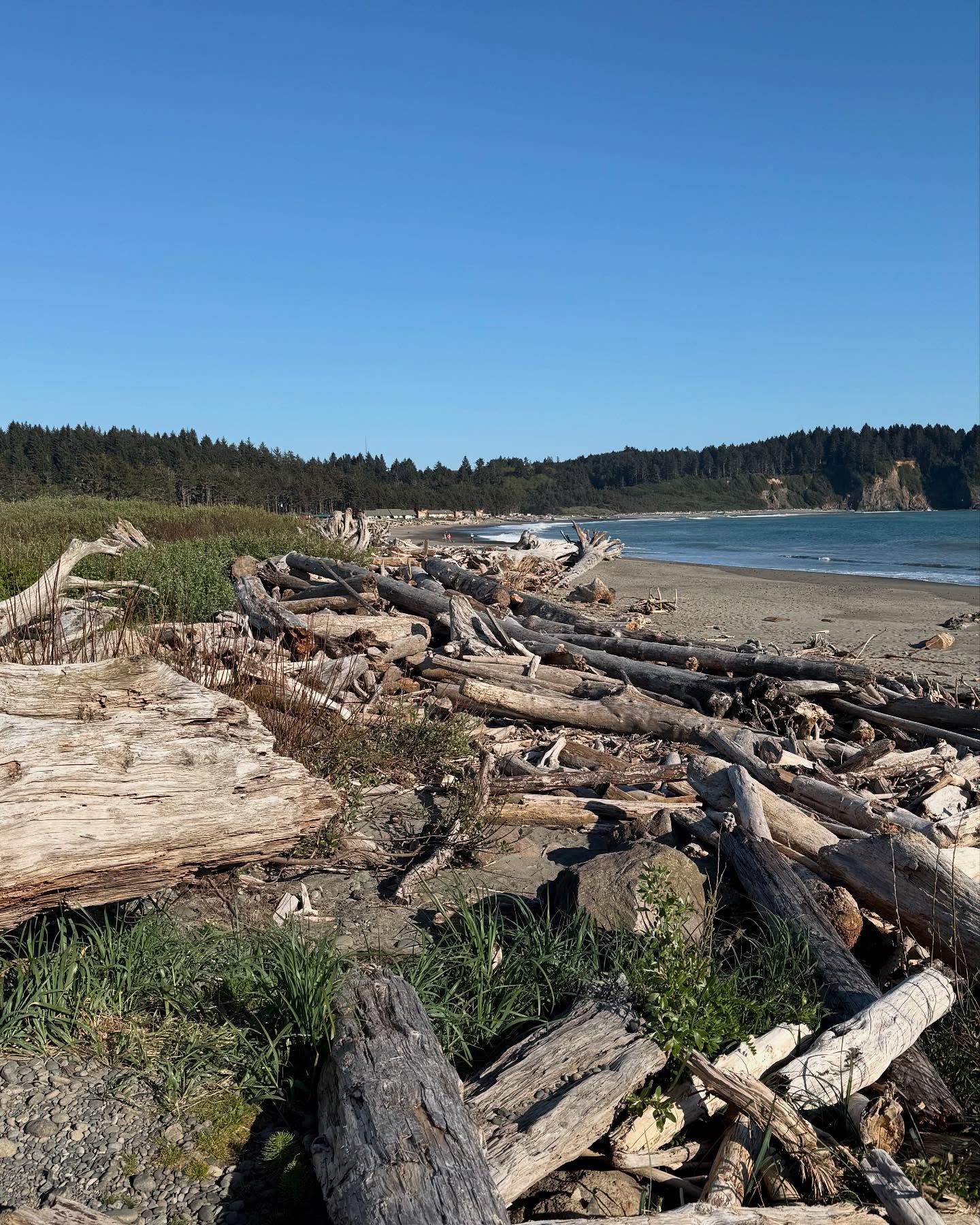 Some pics from my camping at Olympic National Park