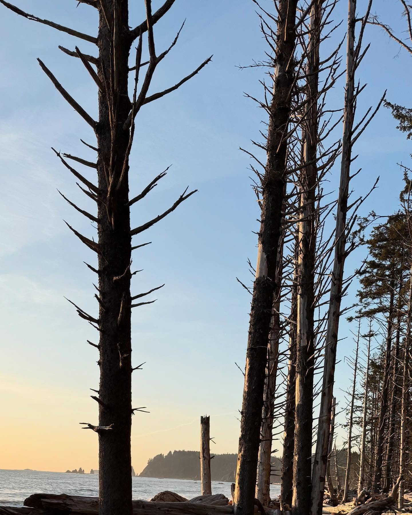 Rialto Beach and the Hole-in-the-wall