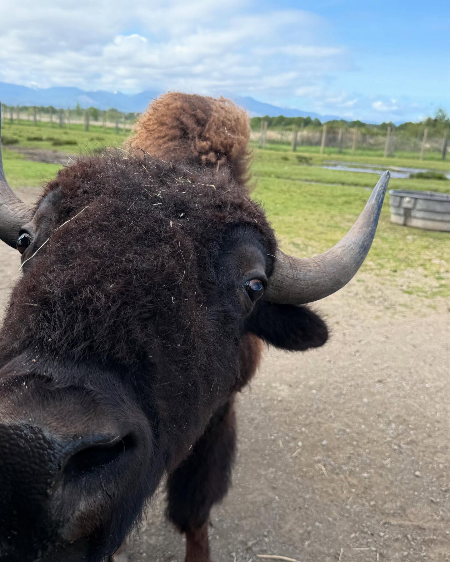 This unexpected detour from our outdoor adventure was really fun