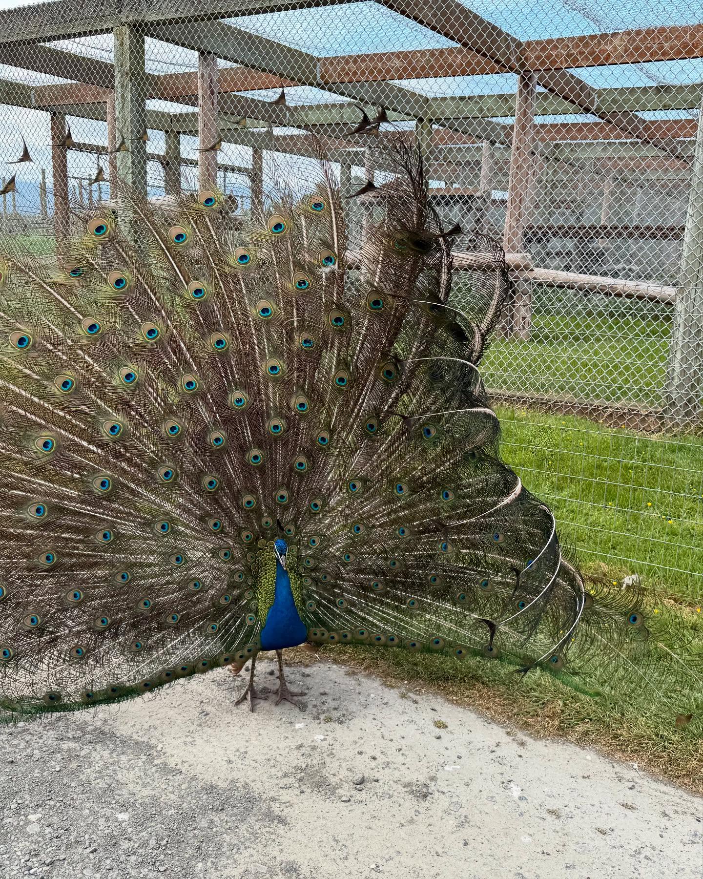 This unexpected detour from our outdoor adventure was really fun