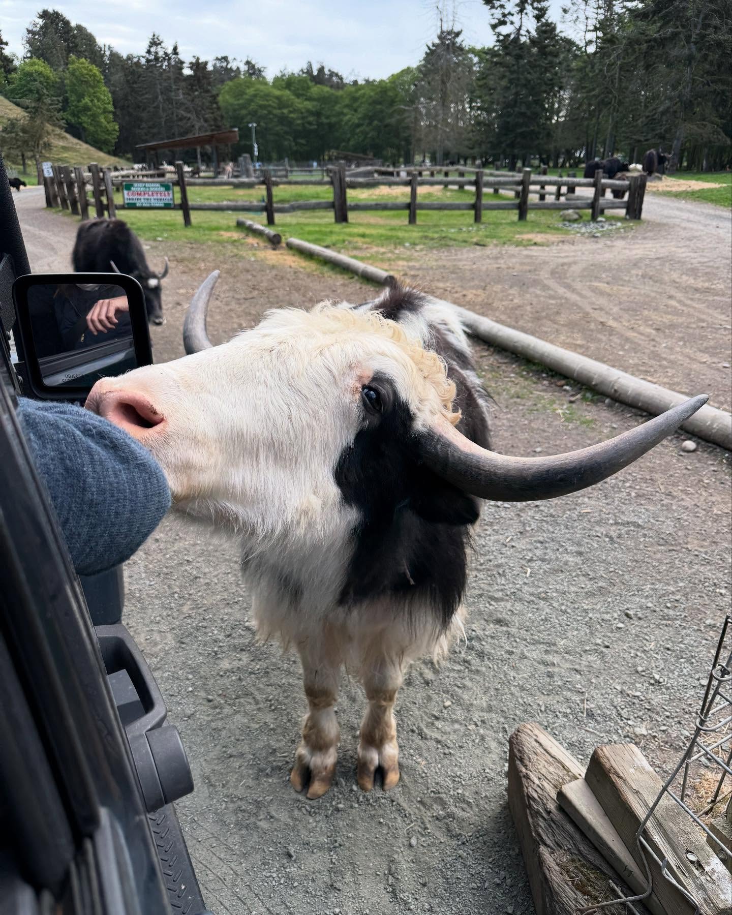 This unexpected detour from our outdoor adventure was really fun