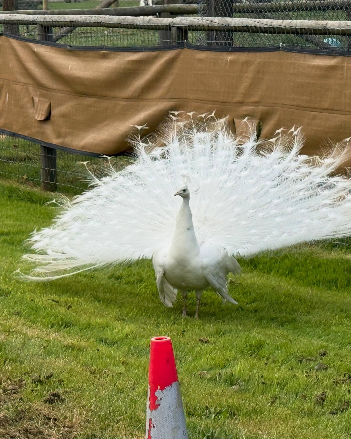 This unexpected detour from our outdoor adventure was really fun