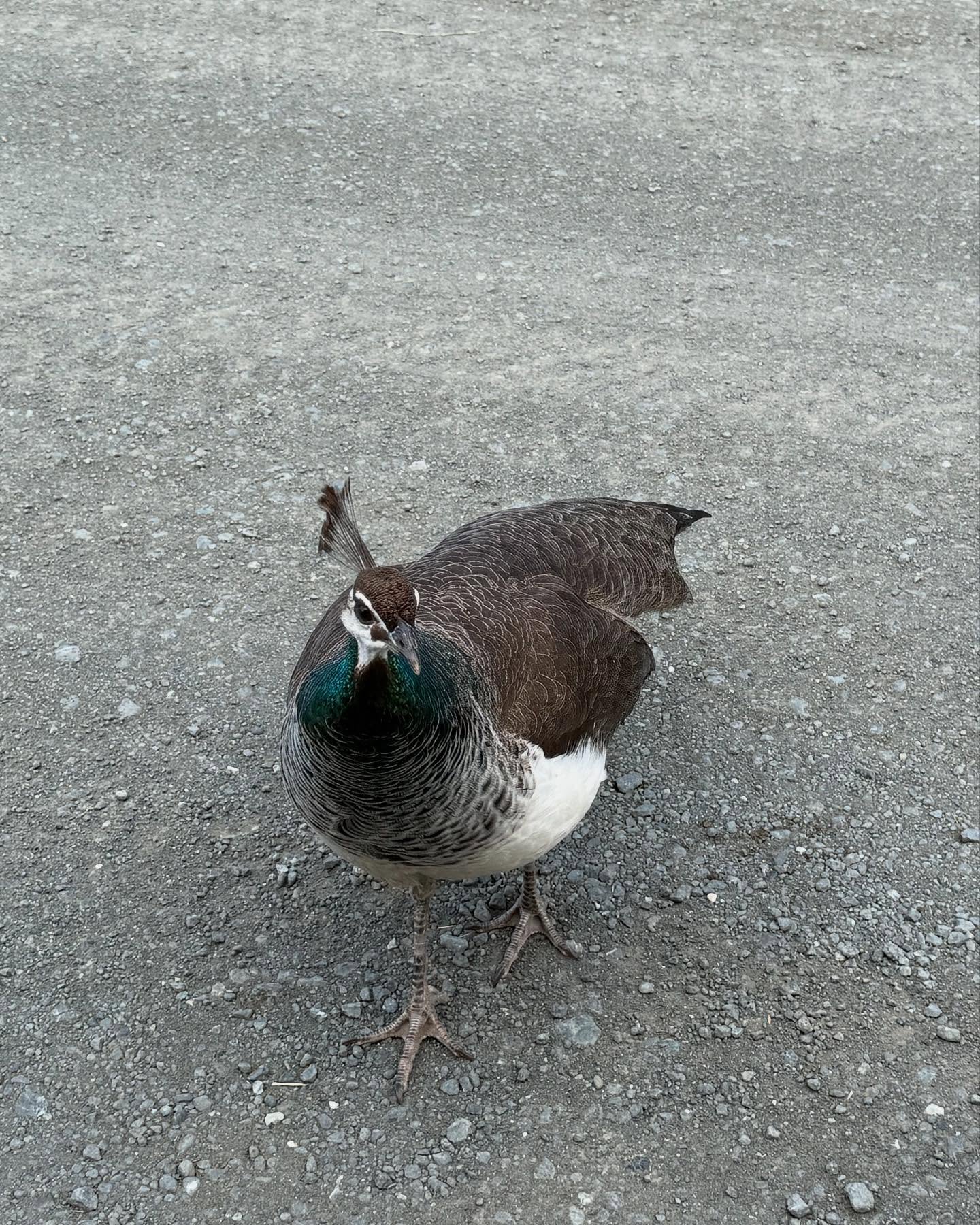 This unexpected detour from our outdoor adventure was really fun