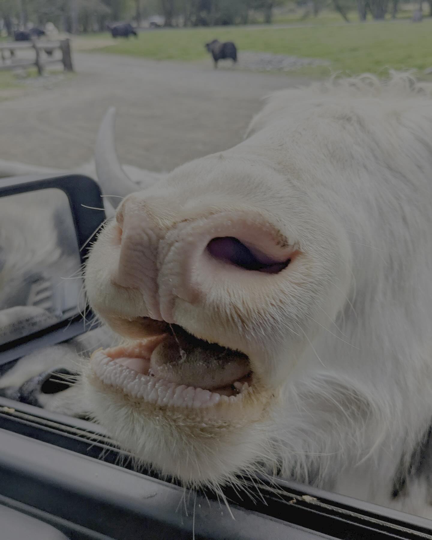 This unexpected detour from our outdoor adventure was really fun