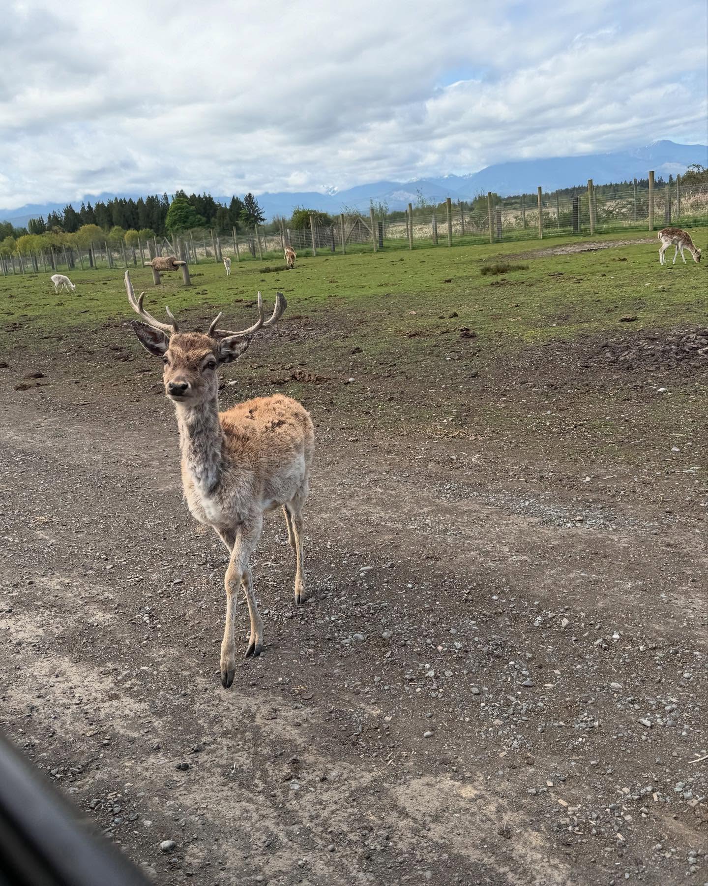 This unexpected detour from our outdoor adventure was really fun