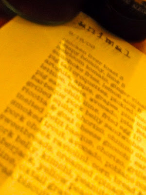 To the Slaughterhouse We Go! . . . LA’s Animal